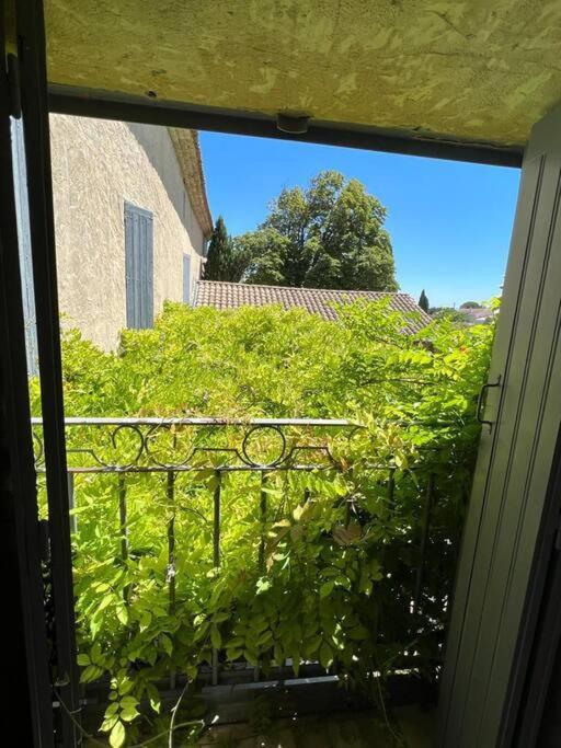 Au Mas Des Glycines - Gite La Tropezienne - 5 Personnes Camaret-sur-Aigues エクステリア 写真